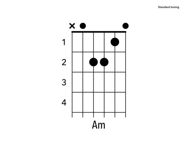 Beginner Guitar Quiz