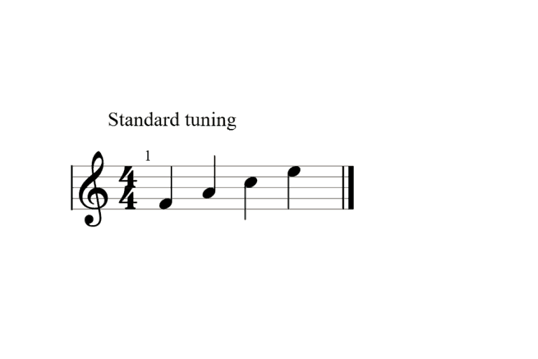 Beginner Guitar Quiz